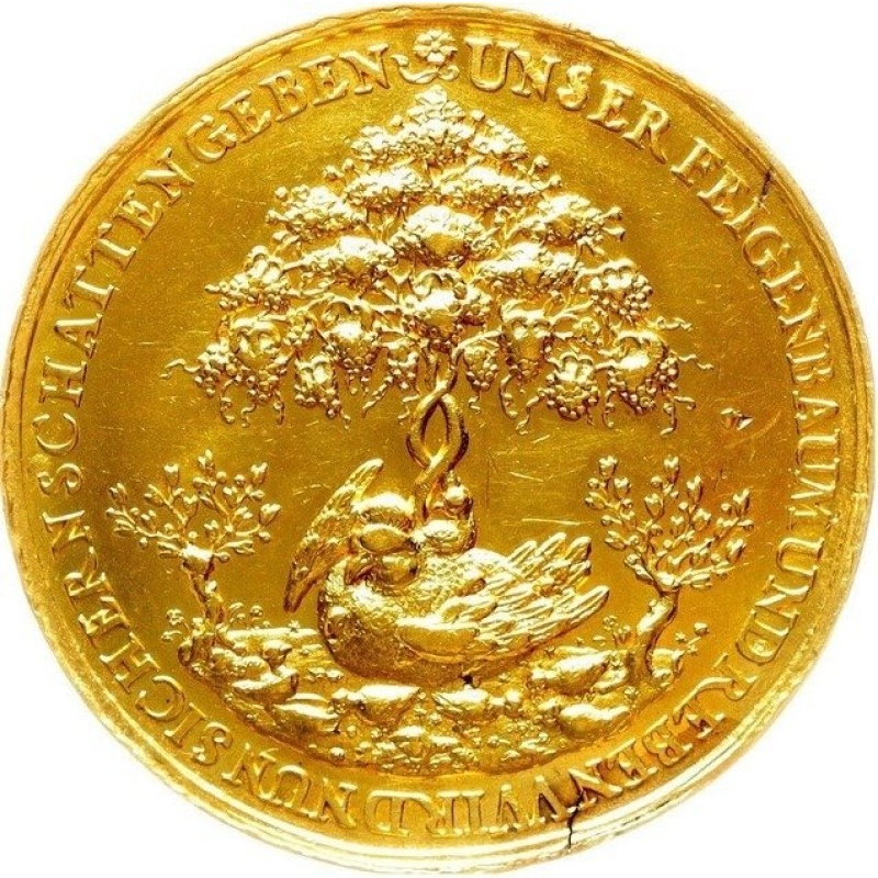 After 1650 Portugalöser 12 Dukaten Hamburg Johann Höhn Coin Extremely Rare