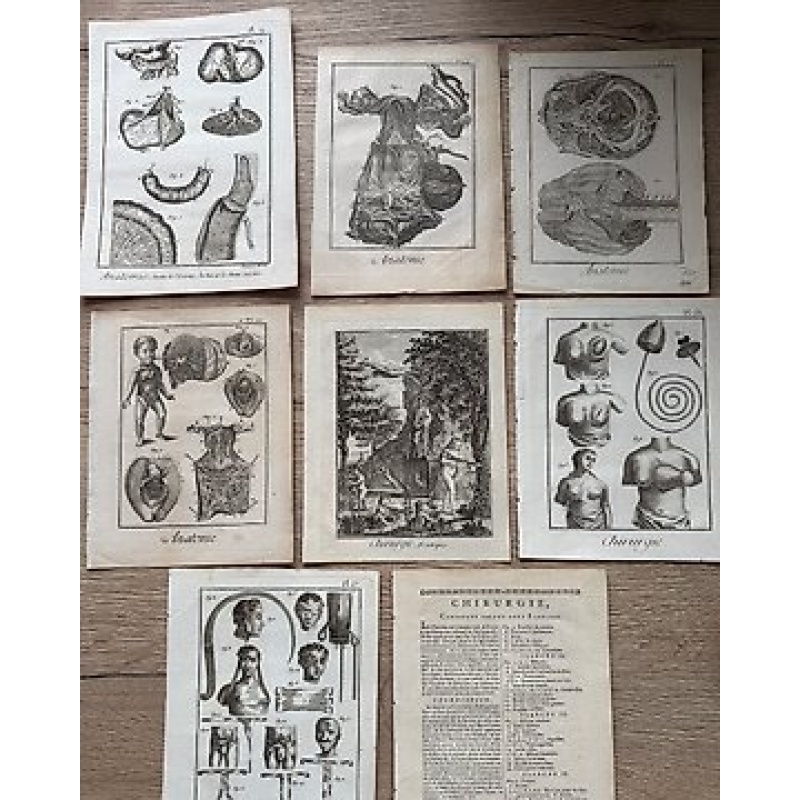 Diderot & D'Alembert (XVIII) - 7 koper gravures Anatomie & Chirurgie
