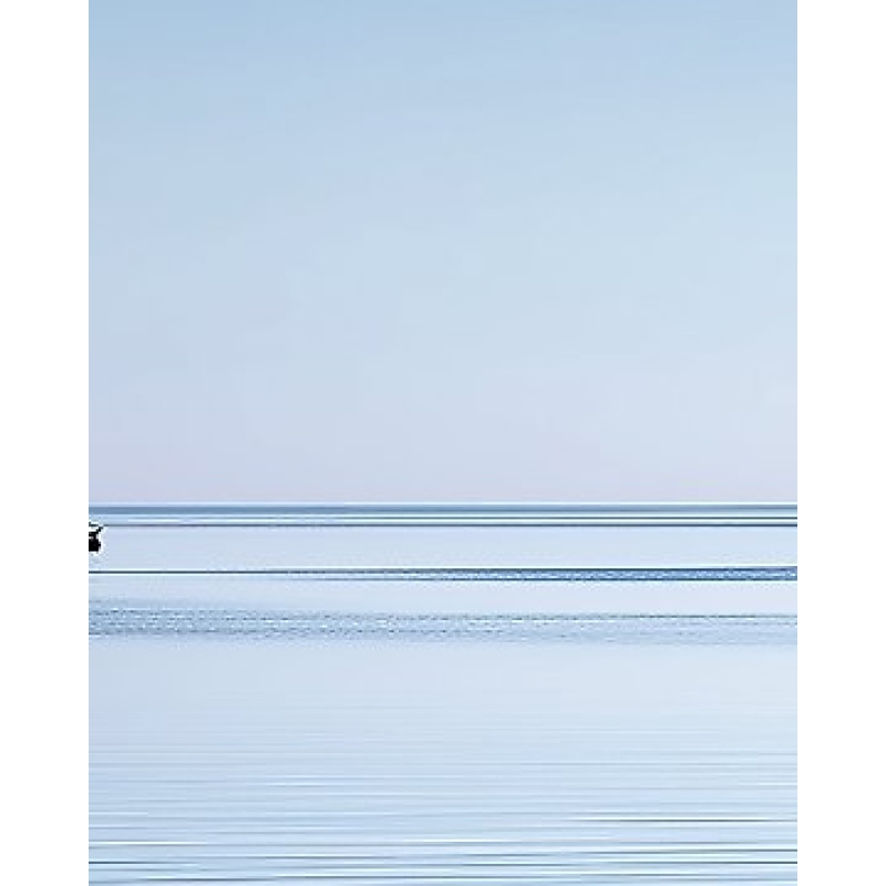 Adrian Voss - Minimal Presence VII