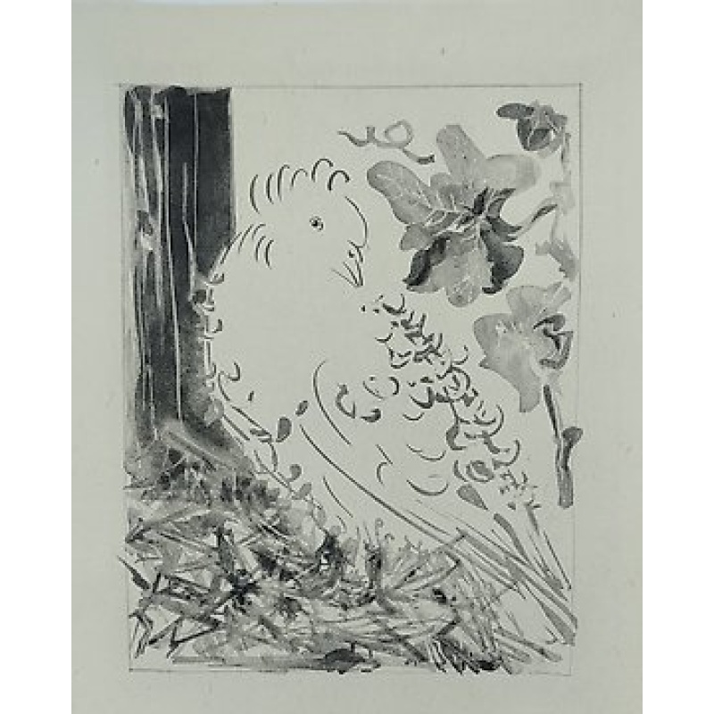 Pablo Picasso (1881-1973) - Le Pigeon (Histoire naturelle: Eaux-fortes originales pour des textes de Buffon)