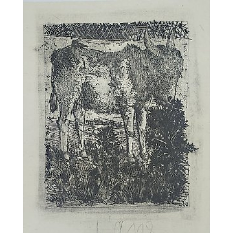 Pablo Picasso (1881-1973) - L'Ane (Histoire naturelle: Eaux-fortes originales pour des textes de Buffon)