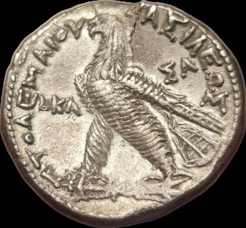 Ptolemaic Kingdom. Ptolemy VI Philometor (180-145 BC). Tetradrachm RY 21 = 161/0 BC, Salamis mint