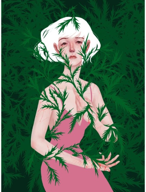 Ludwika Hawryszuk - Thistle