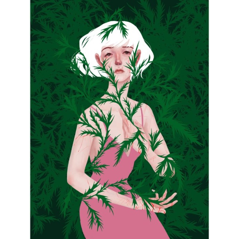 Ludwika Hawryszuk - Thistle