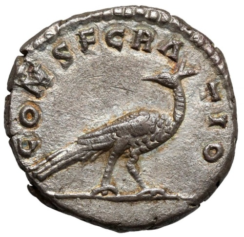 Roman Empire. Faustina I († AD 140/1). Denarius Posthumous issue with peacock