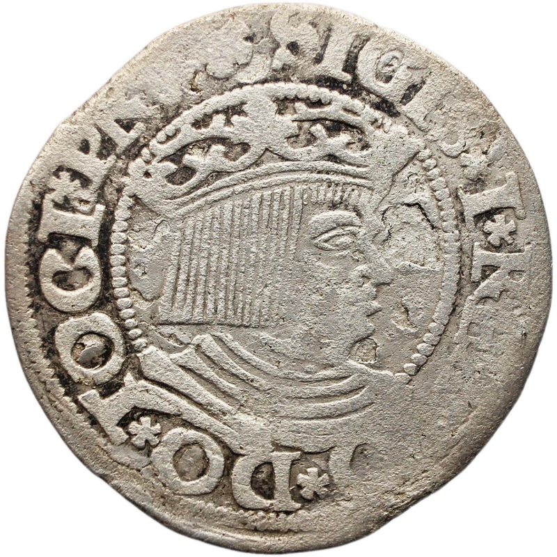 1534 Groschen Gdansk Coin Poland Silver Sigismund I the Old