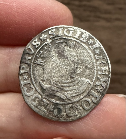 POLAND. SIGISMUND I. SILVER GROSCHEN. DATED 1531.