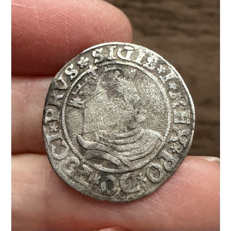 POLAND. SIGISMUND I. SILVER GROSCHEN. DATED 1531.